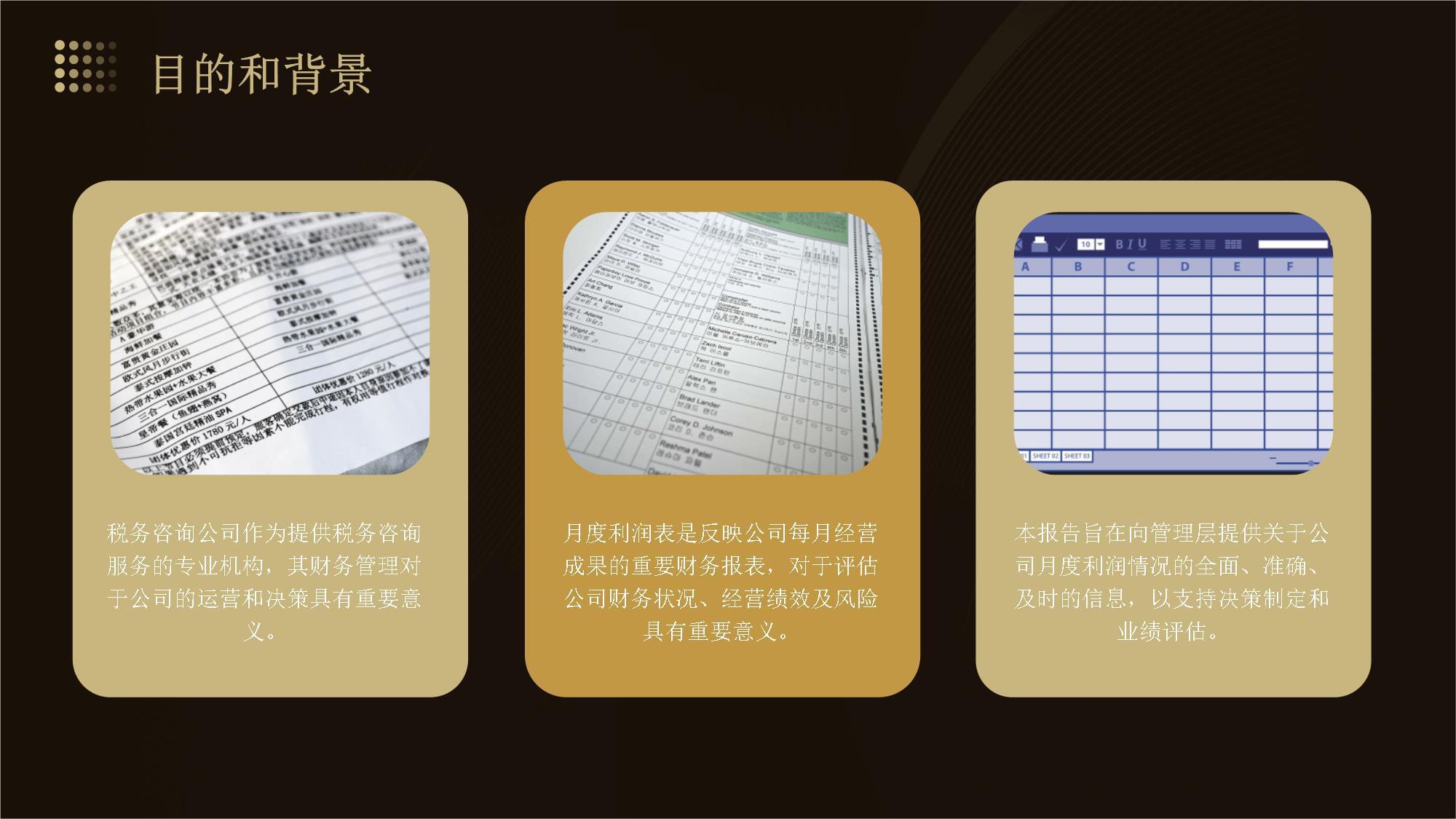 税务咨询公司财务管理人员月度利润表分析报告